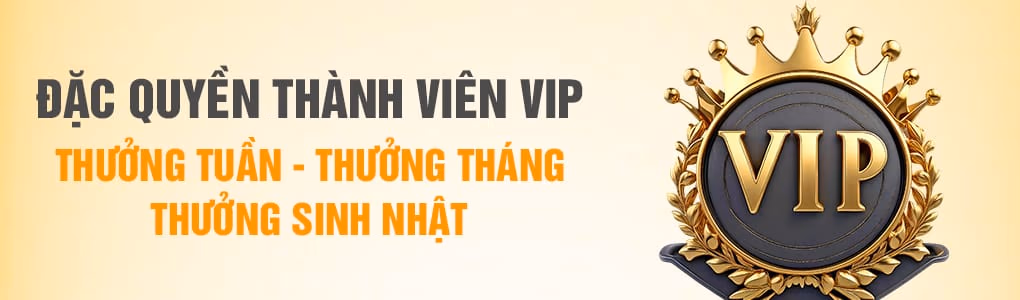 Binh Xập Xám nâng cao BL55